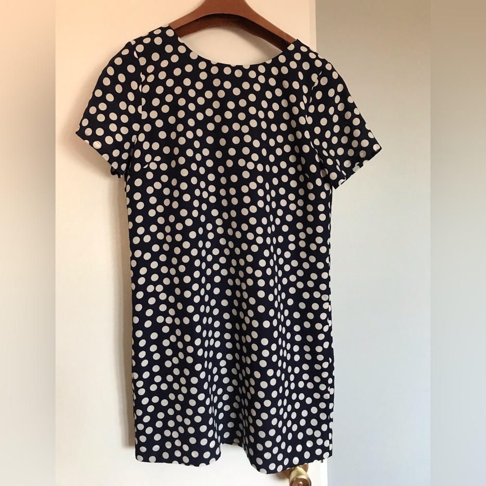 Jcrew polka dot dress